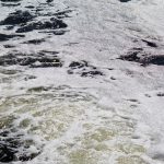 Oceans under pressure: climate change and pollution threaten marine ecosystems