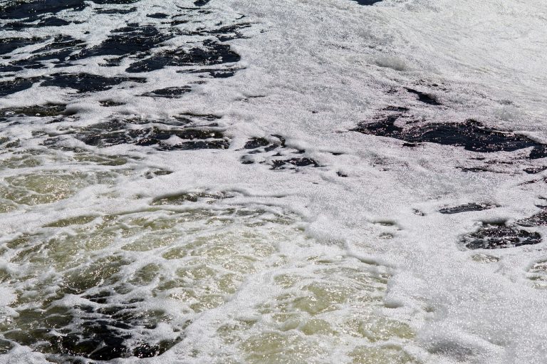 Oceans under pressure: climate change and pollution threaten marine ecosystems